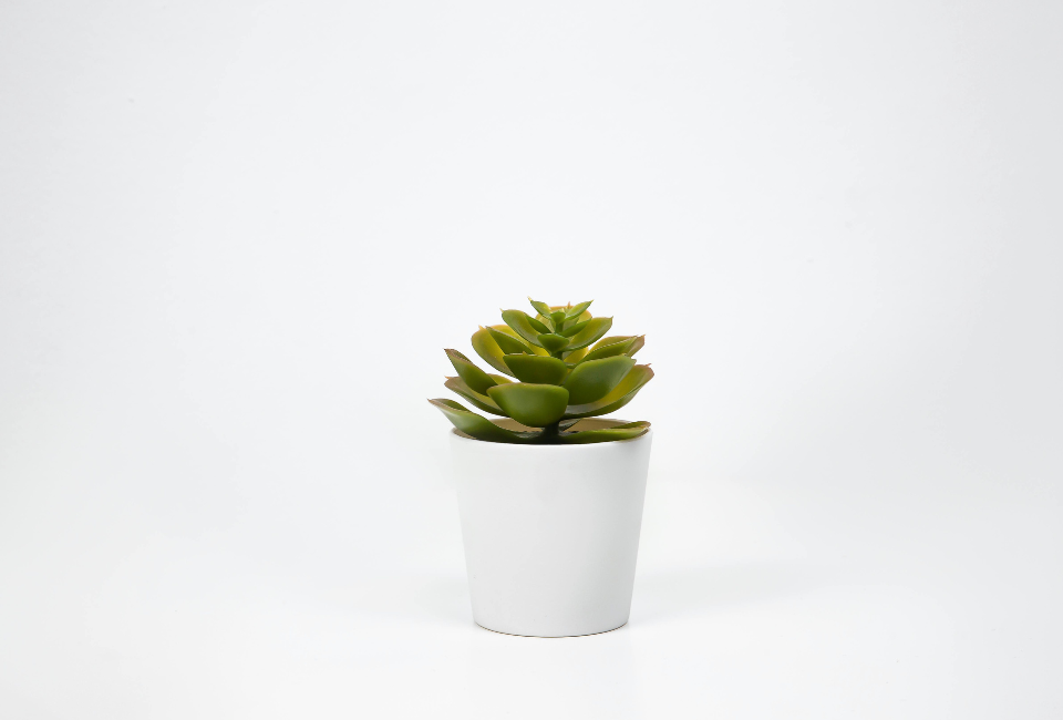 Untitled design (1)